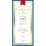 Certificate DL - Inspire Elegance