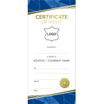 Certificate DL - Inspire Spirit