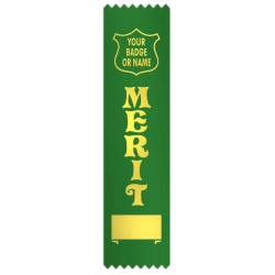 Merit Award
