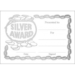 Silver Award Metallic - A6