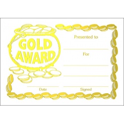 Gold Award Metallic Generic A5