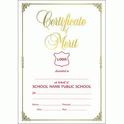 Certificate of Merit A4
