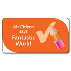 Teacher Says Fantastic Work! - Sticker